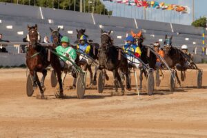 FB_IMG_1733923946597