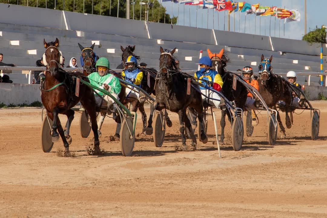 FB_IMG_1733923946597