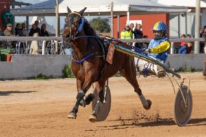 FB_IMG_1733923950727