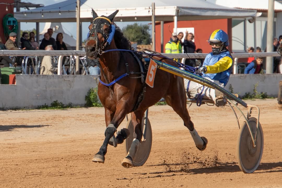 FB_IMG_1733923950727