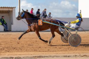 FB_IMG_1733923953688