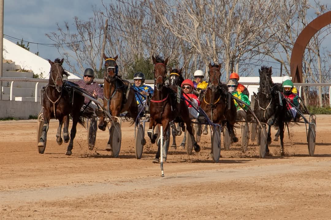 FB_IMG_1733923967572