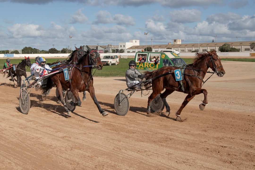 FB_IMG_1733923975299