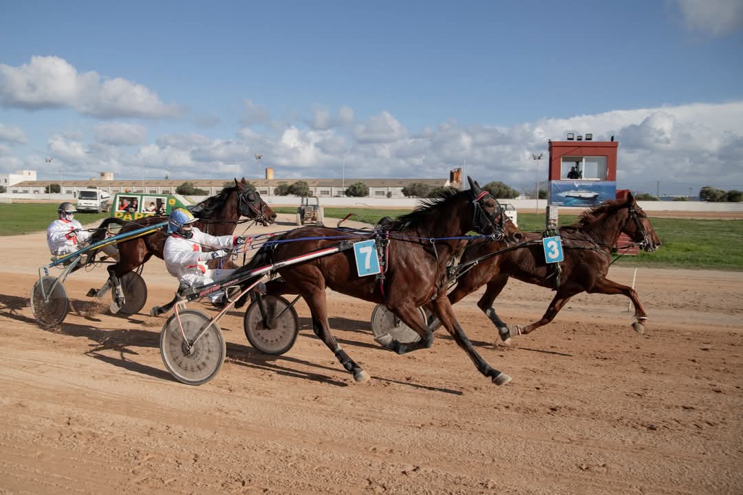 FB_IMG_1733923979967