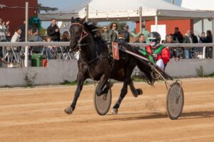 Hipodromo Mao carreras (10)