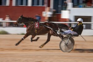 Hipodromo Mao carreras (15)