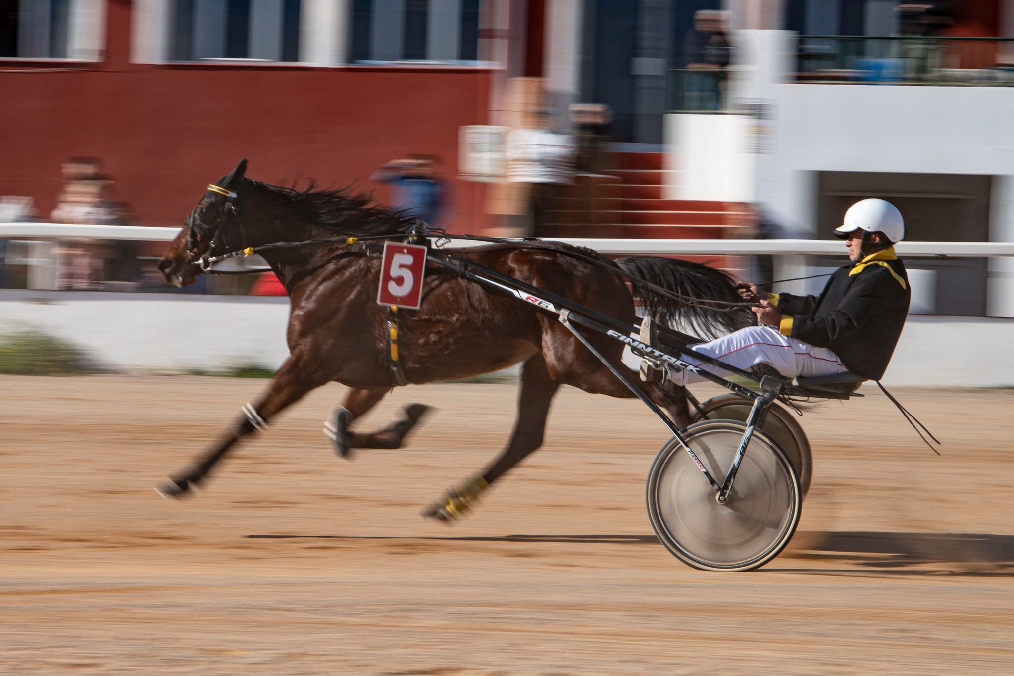 Hipodromo Mao carreras (15)