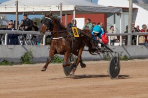 Hipodromo Mao carreras (16)