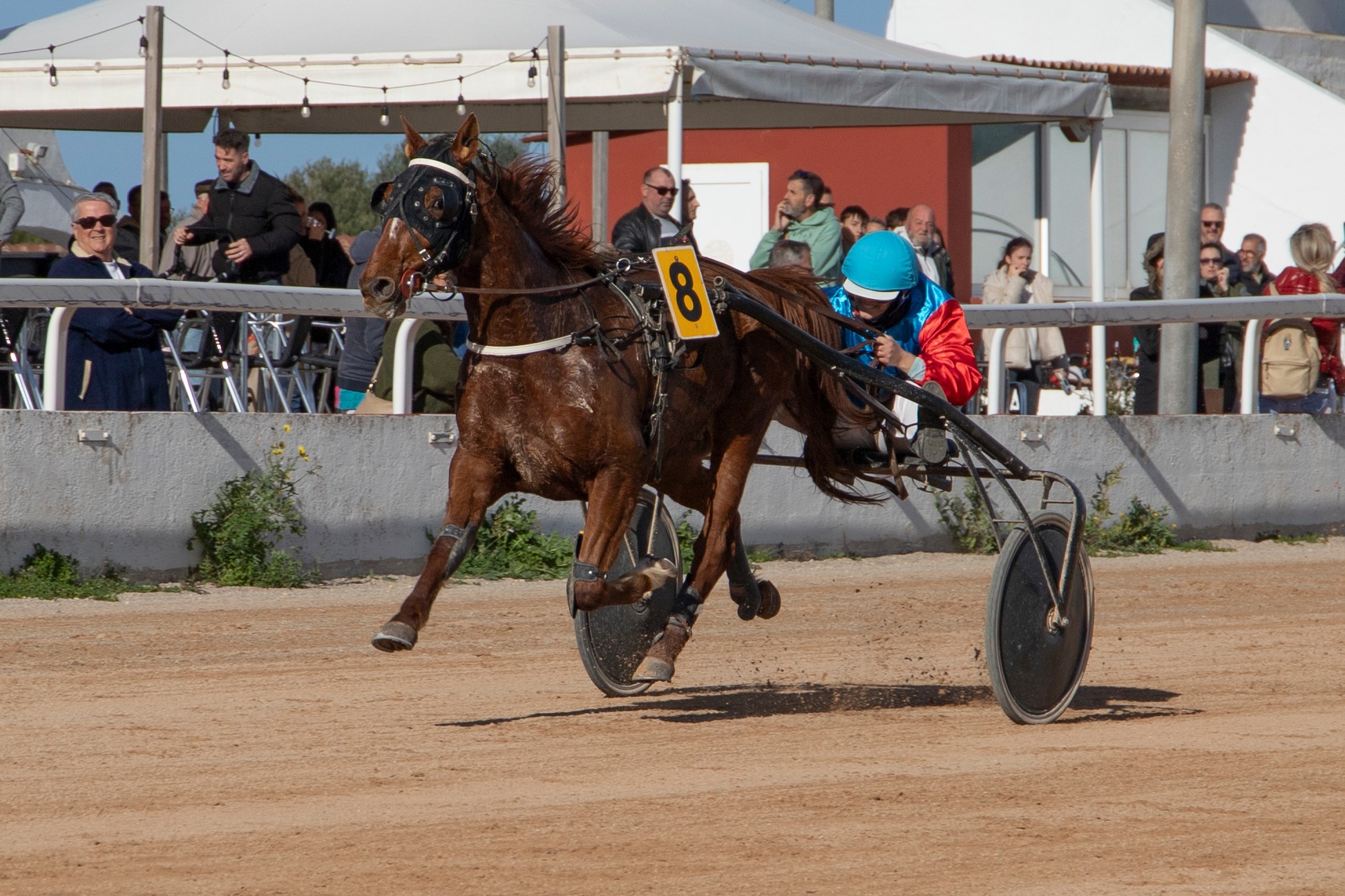 Hipodromo Mao carreras (16)