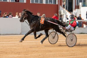 Hipodromo Mao carreras (17)