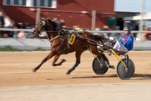 Hipodromo Mao carreras (18)