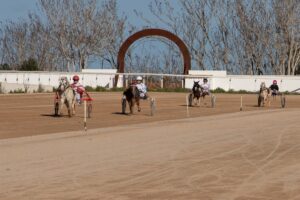 Hipodromo Mao carreras (2)