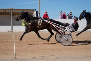 Hipodromo Mao carreras (21)