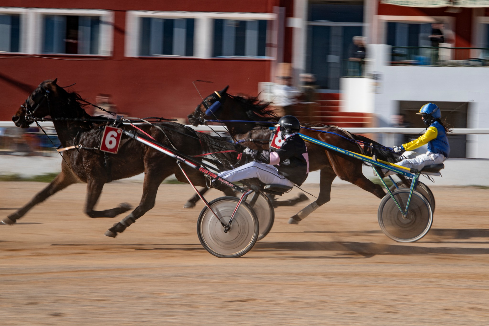 Hipodromo Mao carreras (4)