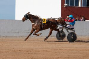 Hipodromo Mao carreras (7)