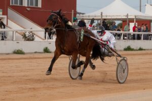 Hipodromo Mao carreras (8)