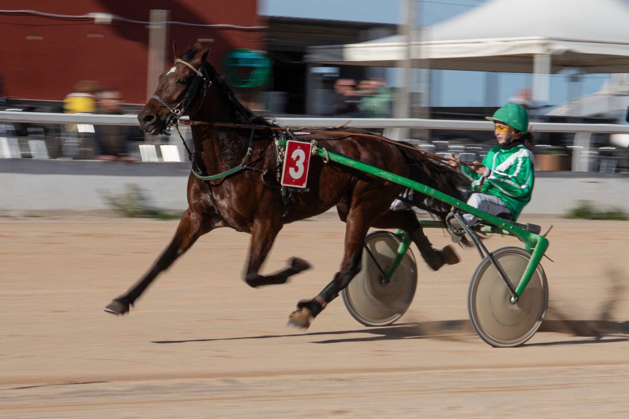 Hipodromo Mao carreras (9)