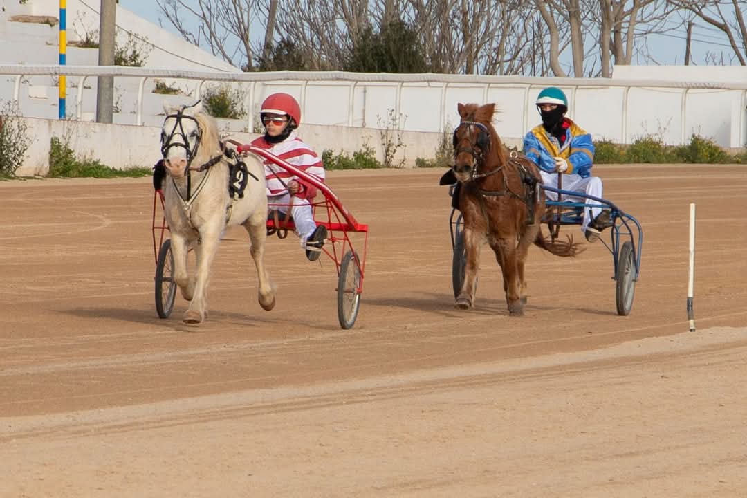 FB_IMG_1736099923572