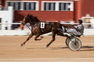 FB_IMG_1736099930516