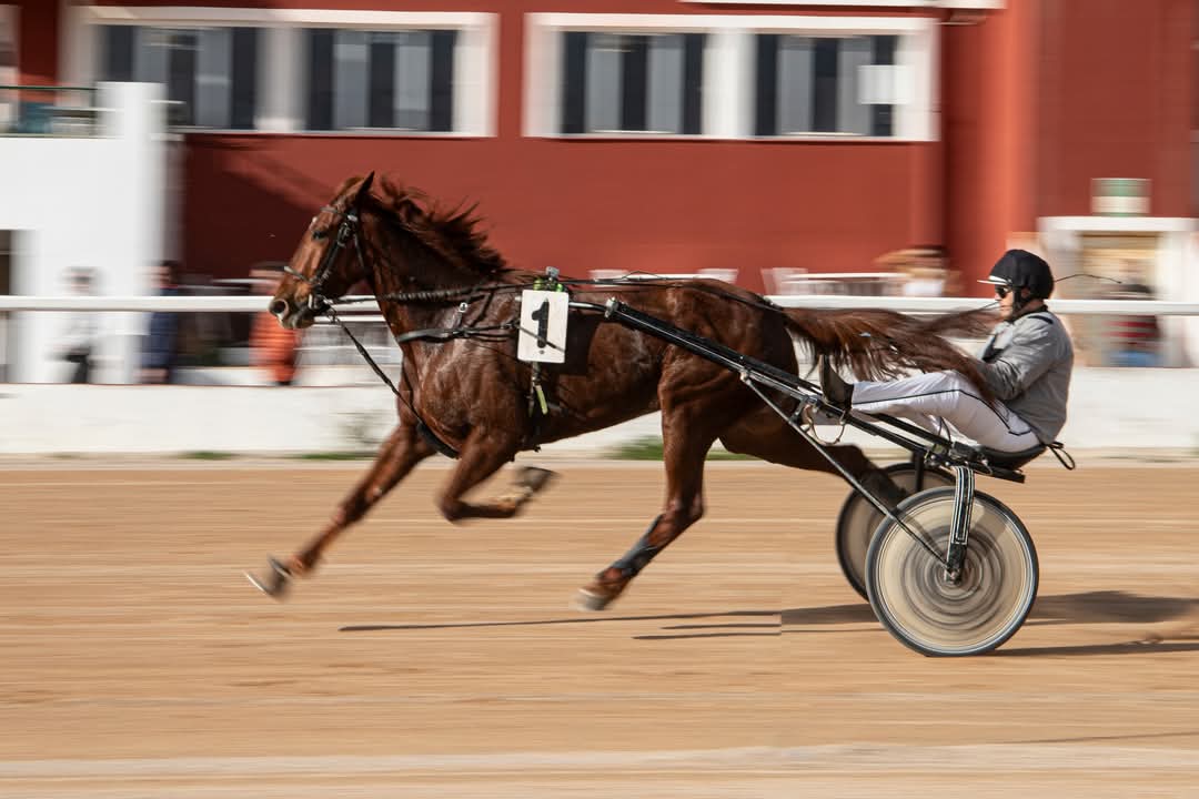 FB_IMG_1736099930516