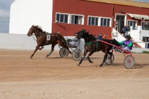 FB_IMG_1736099934147