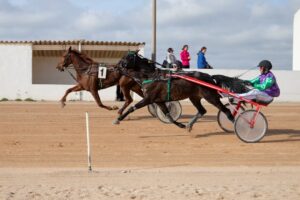 FB_IMG_1736099937493