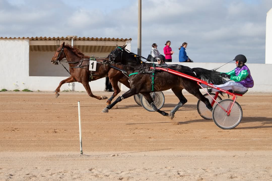 FB_IMG_1736099937493