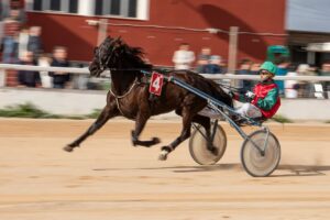 FB_IMG_1736099940805