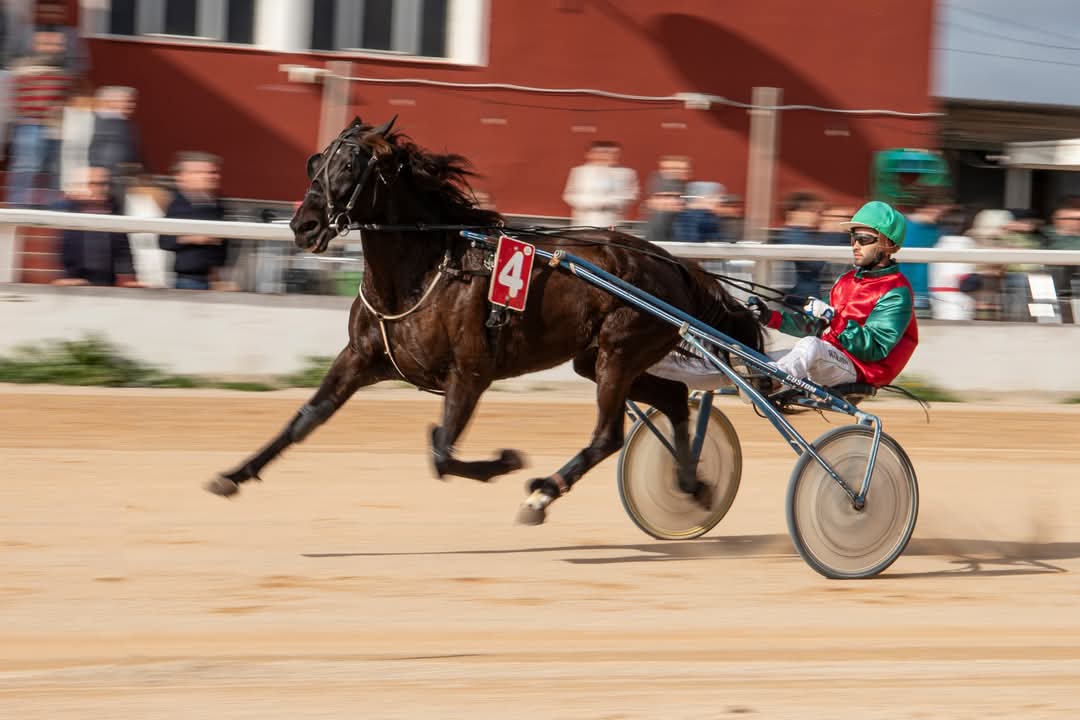 FB_IMG_1736099940805