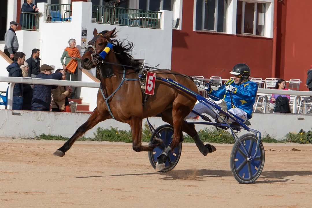 FB_IMG_1736099952884