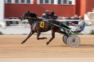 FB_IMG_1736099960195