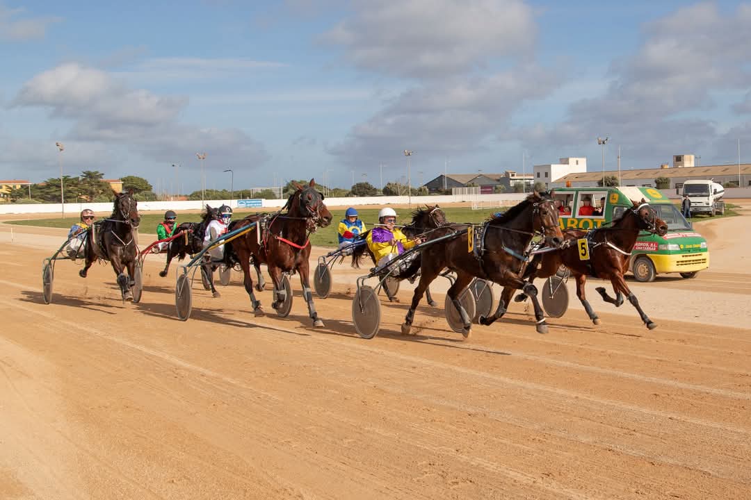 FB_IMG_1736099963776