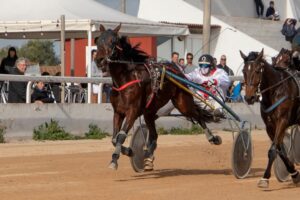 FB_IMG_1736099967188