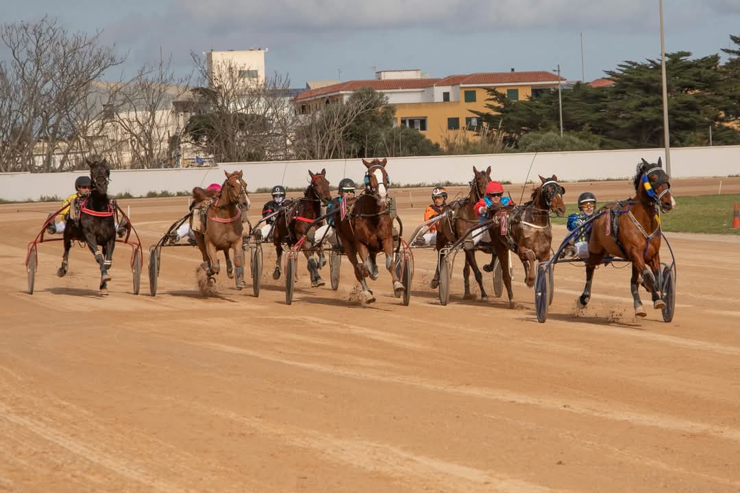 FB_IMG_1736099969898