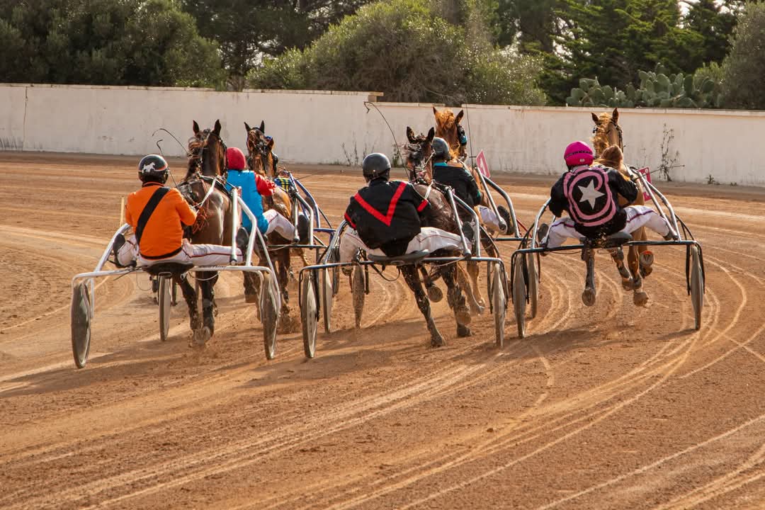 FB_IMG_1736099974647