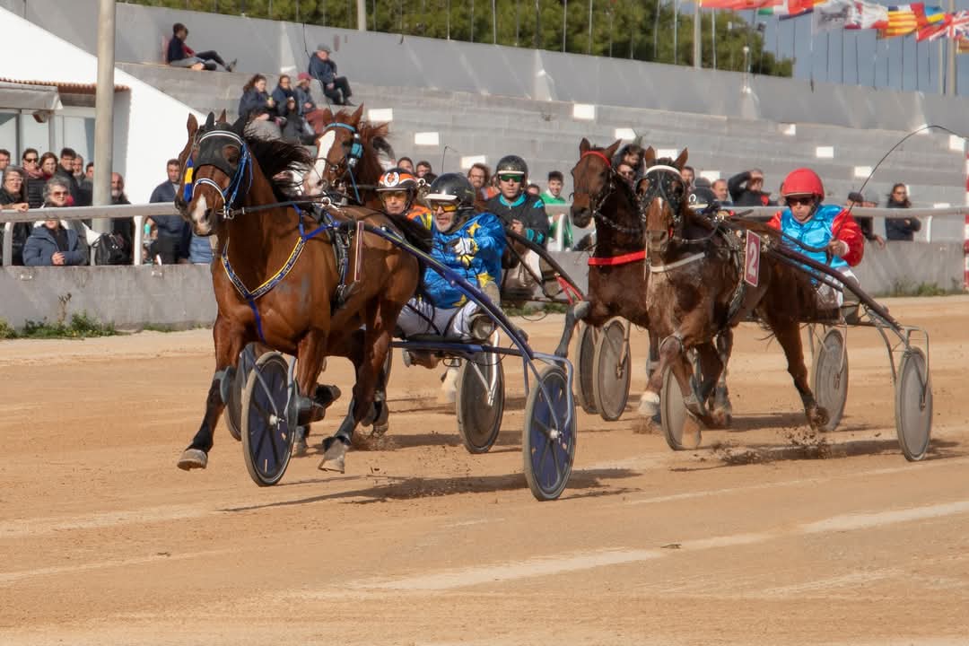 FB_IMG_1736099978714