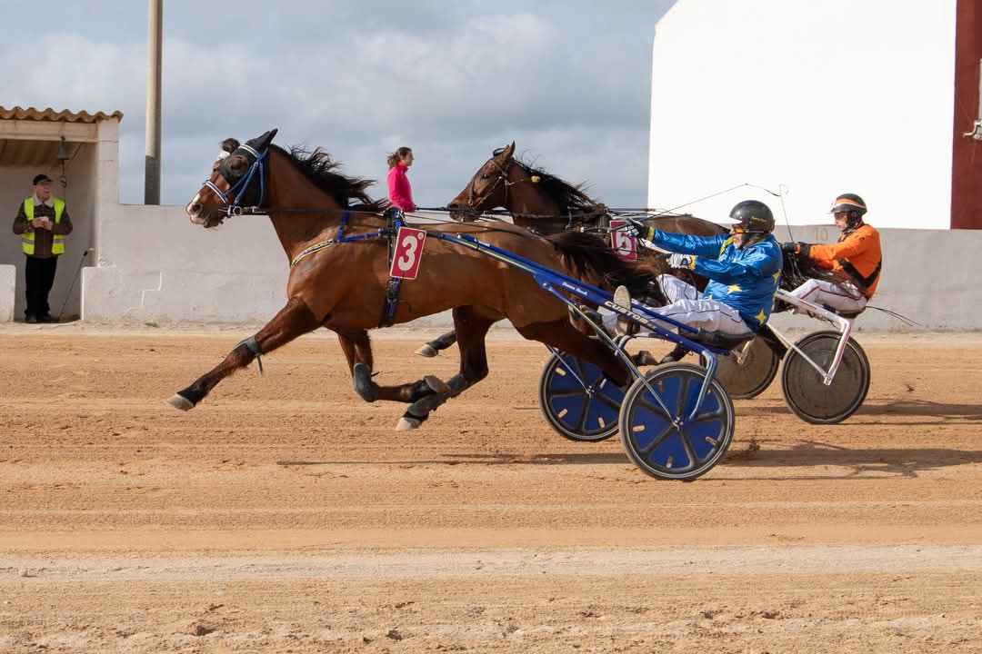 FB_IMG_1736099981773