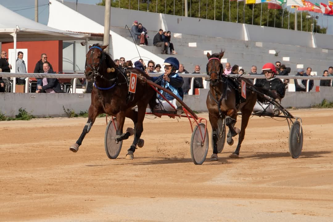 FB_IMG_1736099984987