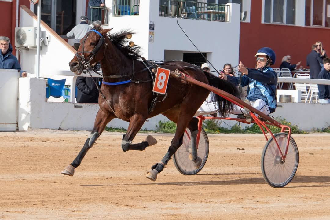 FB_IMG_1736099987964