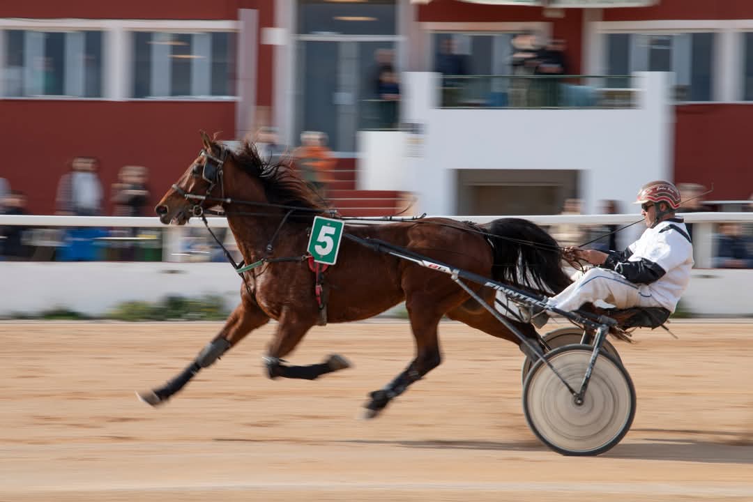 FB_IMG_1736099996545