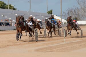 FB_IMG_1736099999272