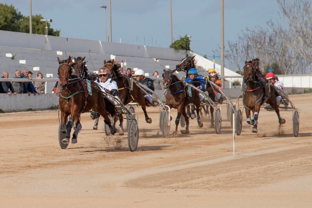 FB_IMG_1736099999272