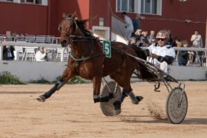 FB_IMG_1736100006968