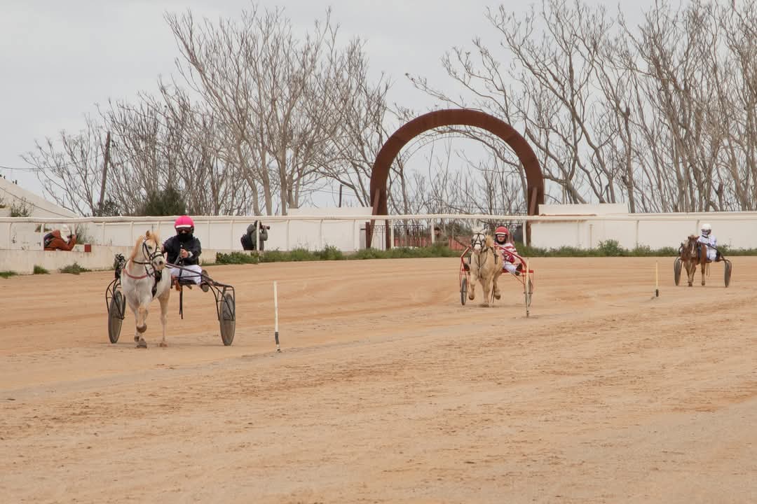 FB_IMG_1736716320750