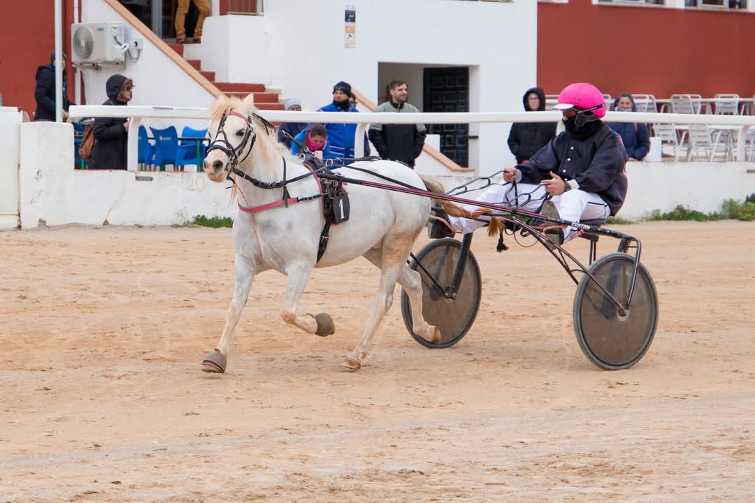 FB_IMG_1736716323088