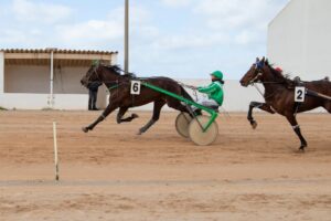 FB_IMG_1736716337493