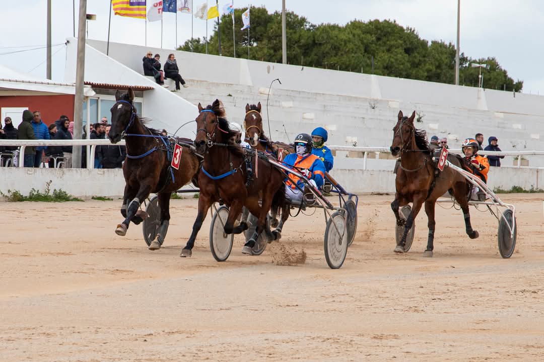 FB_IMG_1736716340737