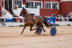 FB_IMG_1736716343731