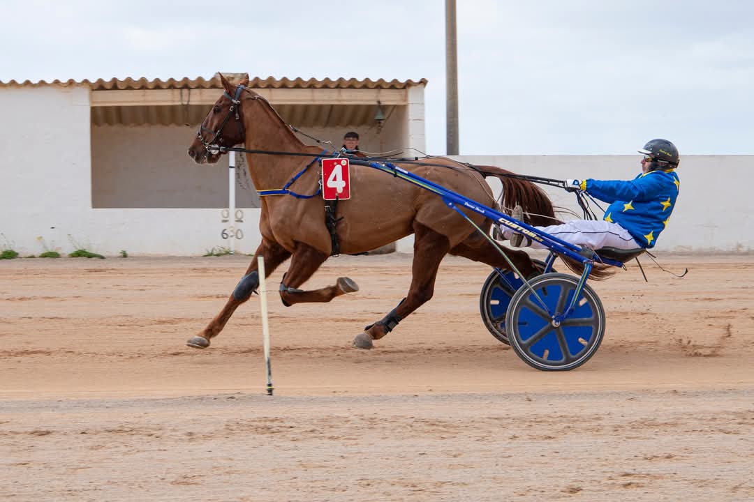 FB_IMG_1736716346792