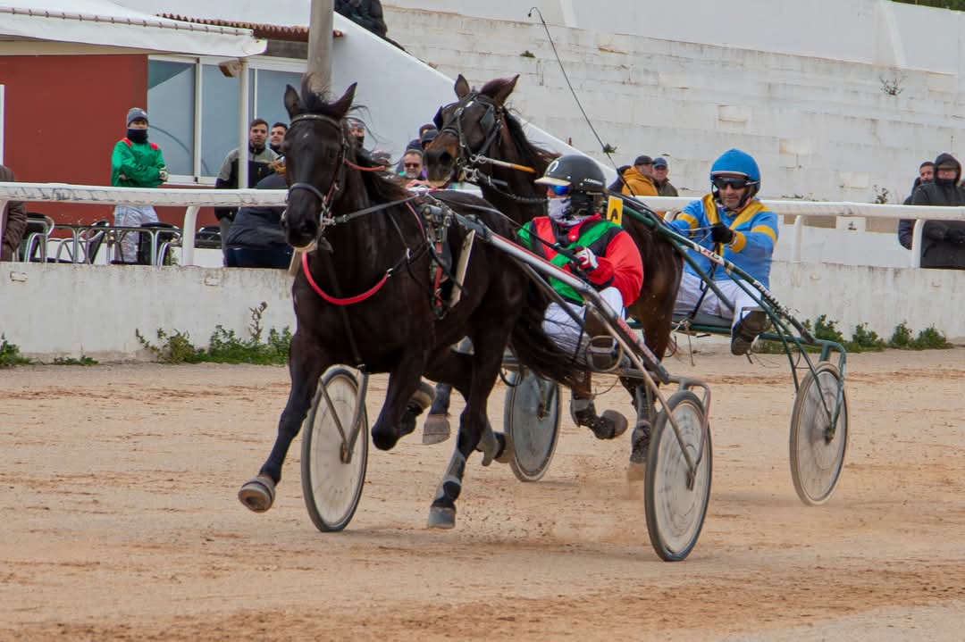 FB_IMG_1736716353035